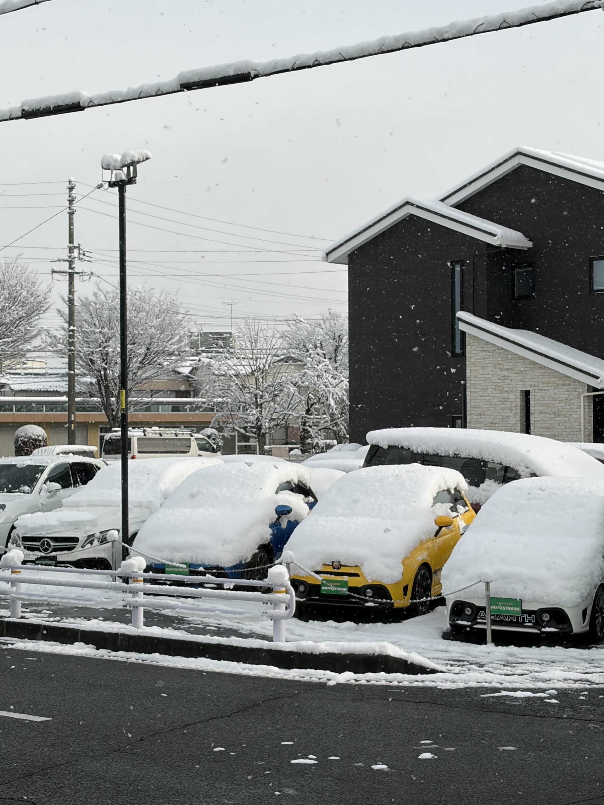 ゆきさん、専用ページ!! TOWEL ハイジ はいじさんとゆきちゃんさん | すべての商品 | 『オクタ